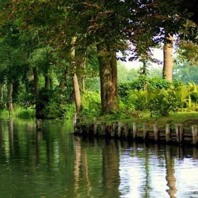 千亿国际app下载截图