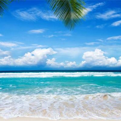 bet体育365官网正规