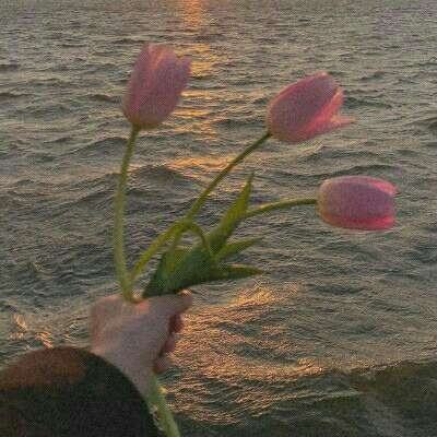 pg电子娱乐平台