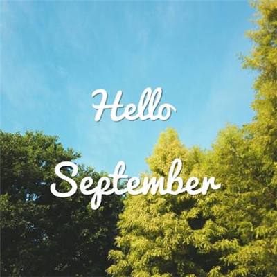 加拿大试玩软件截图