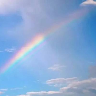 皇冠正规娱乐平台下载手机版