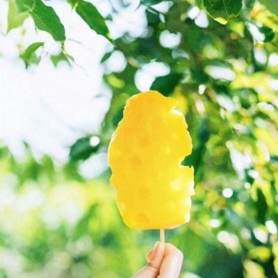 加拿大试玩软件截图