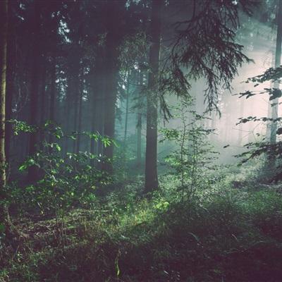 kaiyun手机版网页版登录入口